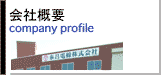 Company profile 